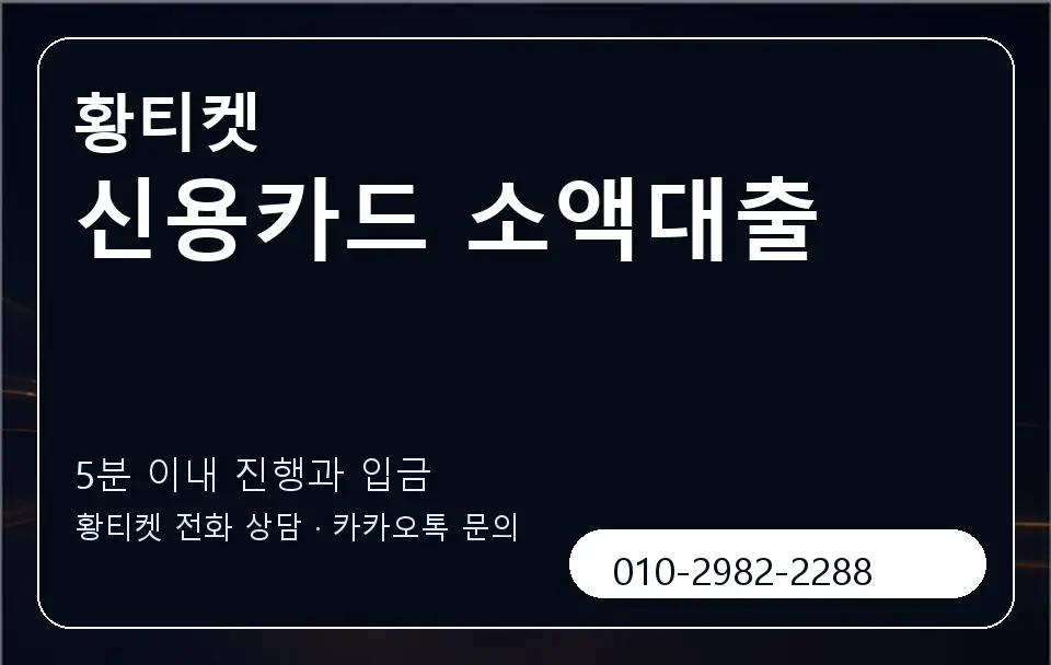신용카드 소액대출 황티켓 캐러셀 6