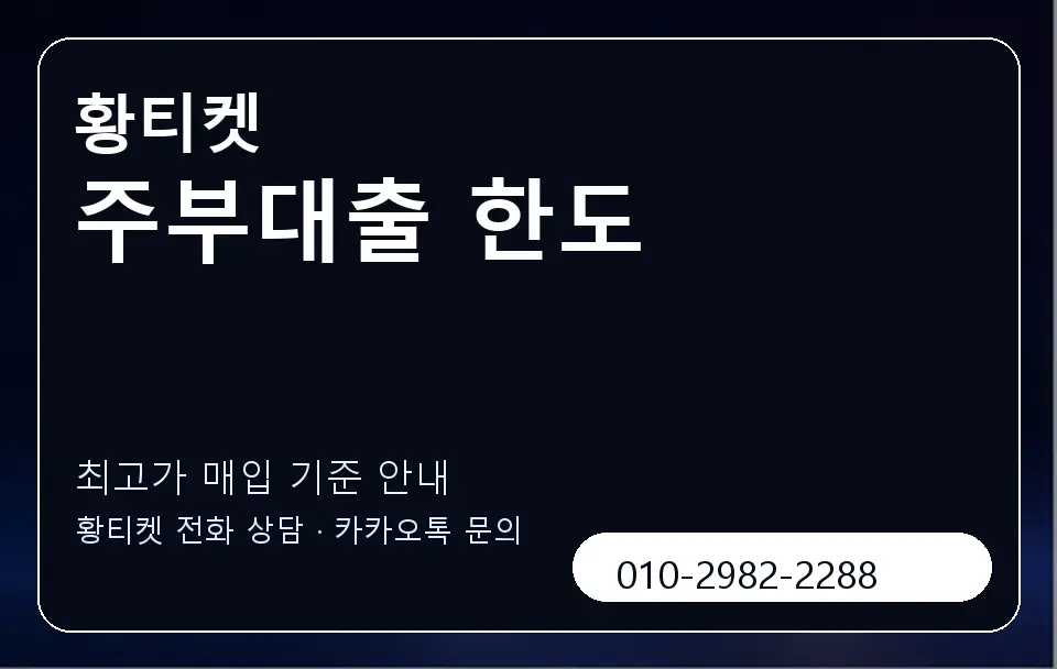 주부대출 한도 황티켓 캐러셀 3