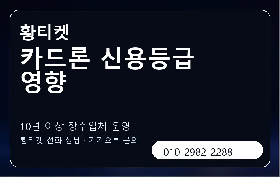 카드론 신용등급 영향 황티켓 캐러셀 5