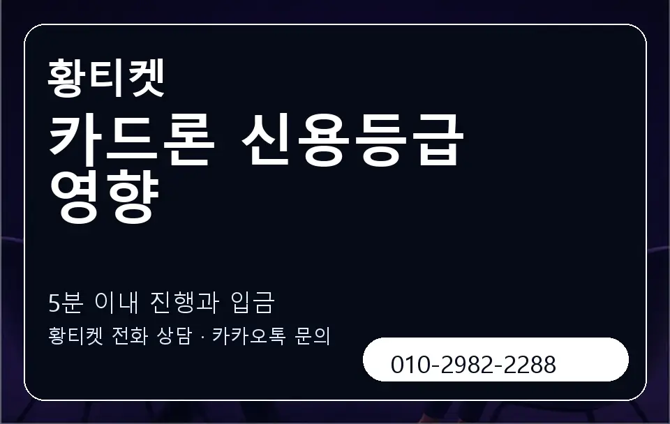 카드론 신용등급 영향 황티켓 캐러셀 6