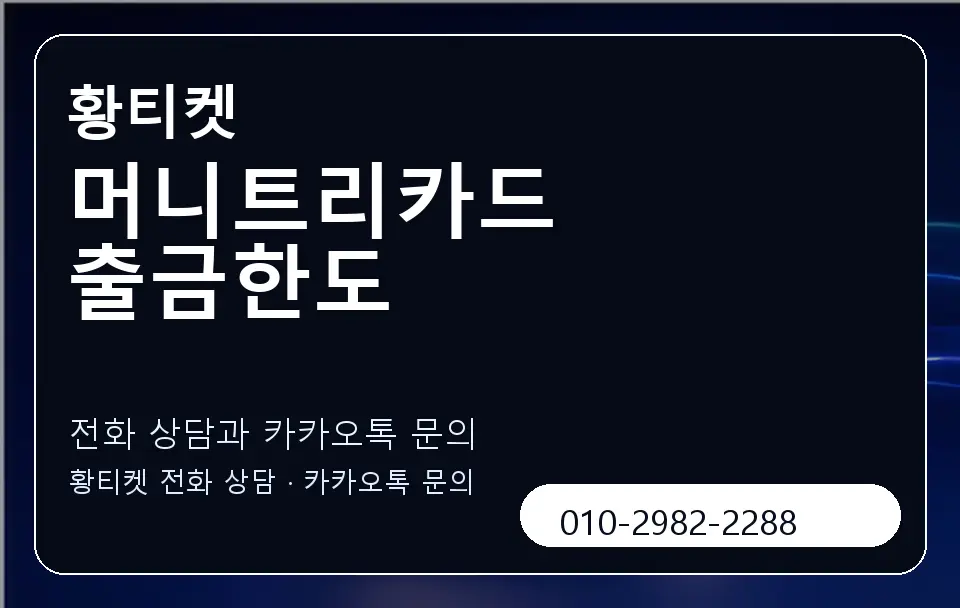 머니트리카드 출금한도 황티켓 캐러셀 1