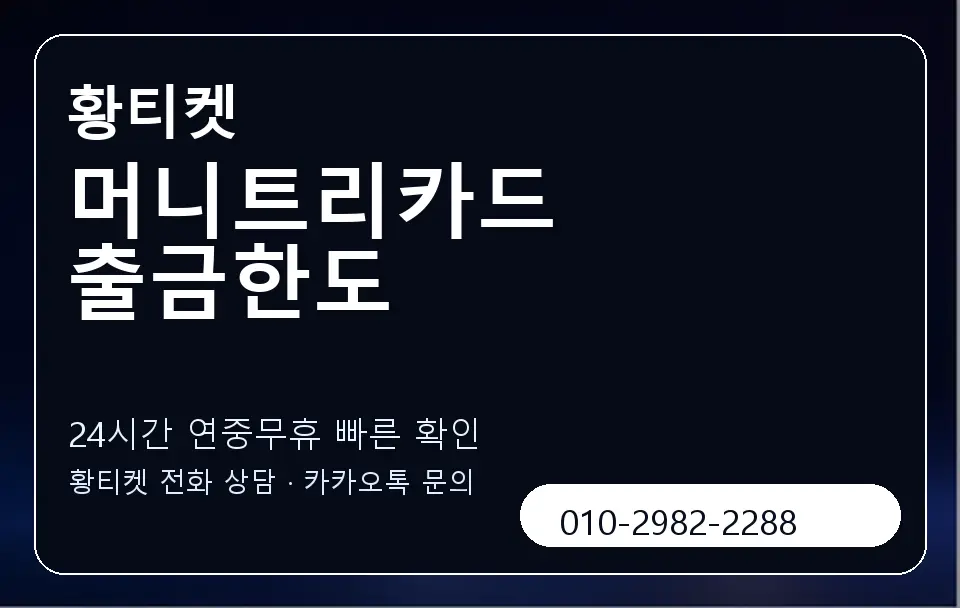 머니트리카드 출금한도 황티켓 캐러셀 2