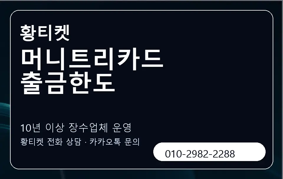 머니트리카드 출금한도 황티켓 캐러셀 5