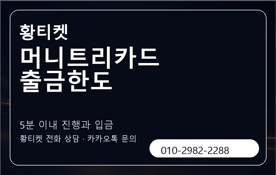 머니트리카드 출금한도 황티켓 캐러셀 6