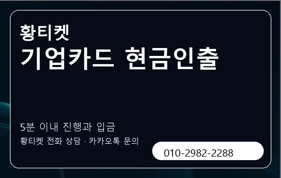 기업카드 현금인출 황티켓 캐러셀 6